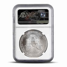 Load image into Gallery viewer, 2002 Eagle S$1 MS69  (PSV 20) Metalstacks