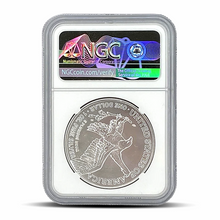 Load image into Gallery viewer, Struck at San Francisco Mint 2020(S) Eagle S$1 Emergency Production Early Releases MS70 - Blue Scale Label Metalstacks