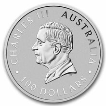 Load image into Gallery viewer, 2026 1 oz Australian Platinum Kangaroo Coin – $100 – .9995 Fine Platinum