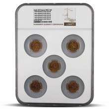 Load image into Gallery viewer, Gold Francs NGC Set – Set of France G20F AU58-MS62 (Brown Scale Label) MetalStacks