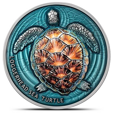 Load image into Gallery viewer, 2023 2 Oz Antique NIUE Loggerhead Sea Turtle Silver Coin