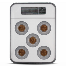 Load image into Gallery viewer, Gold Francs NGC Set – Set of France G20F MS64 (Brown Scale Label) MetalStacks
