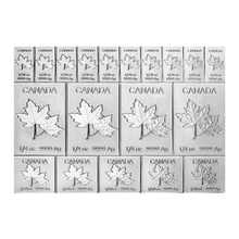 Load image into Gallery viewer, 2 oz Random Year Maple Leaf Flex Silver Multibar | Royal Canadian Mint Metalstacks