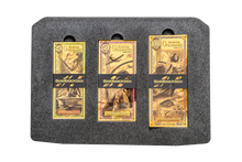 Load image into Gallery viewer, The GoldbackBox - Florida 2025 Series MetalStacks
