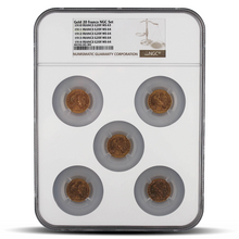 Load image into Gallery viewer, Gold Francs NGC Set – Set of France G20F  MS63-MS64 (Brown Scale Label) MetalStacks

