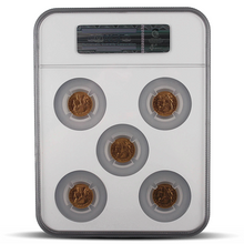 Load image into Gallery viewer, Gold Francs NGC Set – Set of France G20F  MS63-MS64 (Brown Scale Label) MetalStacks
