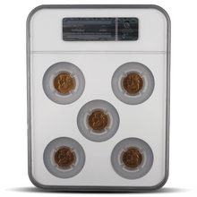 Load image into Gallery viewer, Gold Francs NGC Set – Set of France G20F AU58-MS62 (Brown Scale Label) MetalStacks
