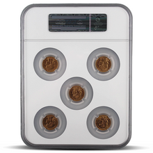 Load image into Gallery viewer, Gold Francs NGC Set – Set of France G20F MS63-MS65 (Brown Scale Label) MetalStacks
