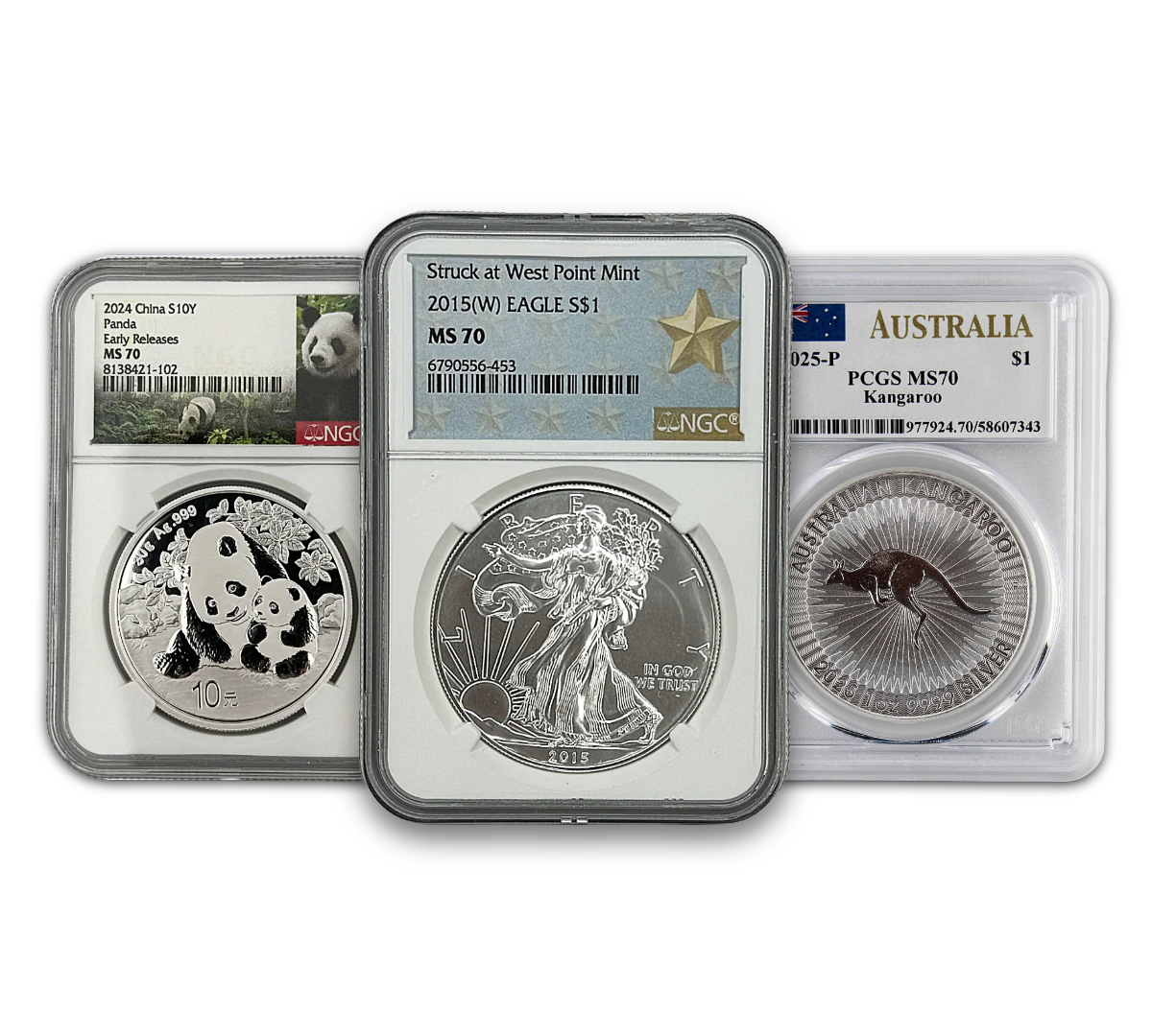 1 Oz Silver Coin - MS70 (Varied Label/Year/Condition, PCGS/NGC) (PSV 20)