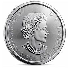 Load image into Gallery viewer, 2021 1/2 oz Canada Red-Tailed Hawk Silver Coin - .9999 Fine Silver
