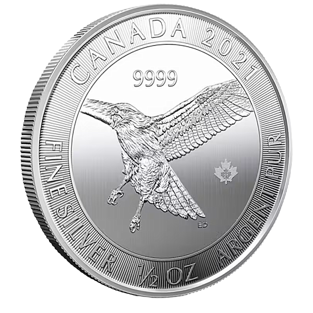 2021 1/2 oz Canada Red-Tailed Hawk Silver Coin - .9999 Fine Silver