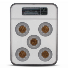 Load image into Gallery viewer, Gold Francs NGC Set – Set of France G20F MS63 (Brown Scale Label)
